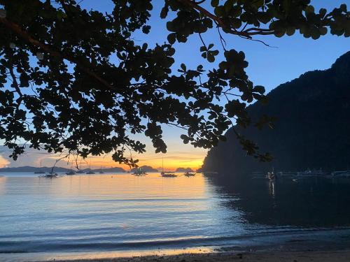 sophias beach guest house