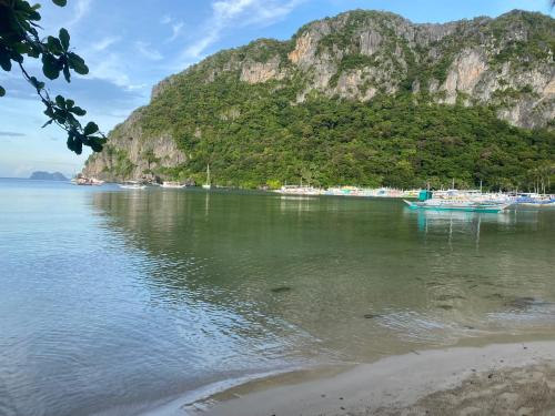 sophias beach guest house