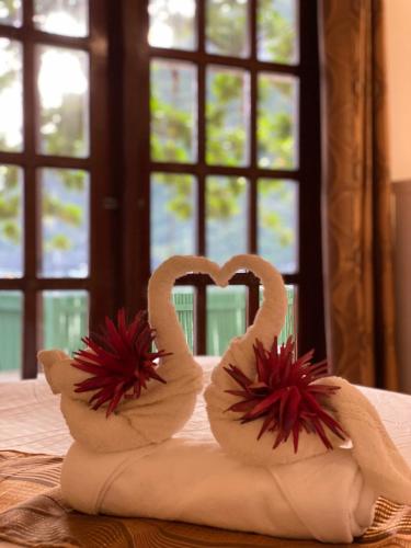 sophias beach guest house