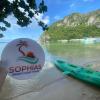 sophias beach guest house