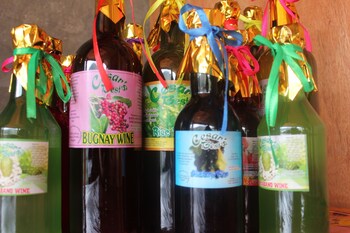 batad transient house