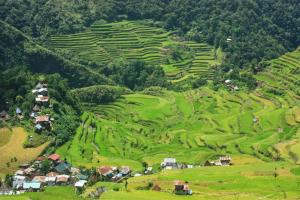 batad transient house