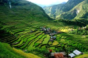 Batad Transient House,Banaue>>Baguio,2.5 star