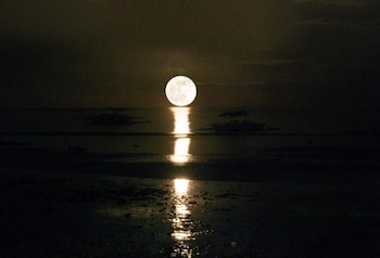 Villa Umi Panglao Resort,Dauis>>Bohol,3 star