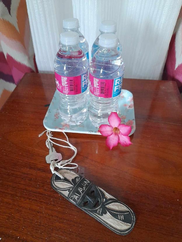 puerto princesa