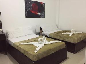4cs tourist lodge
