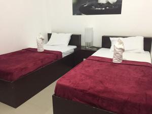 4cs tourist lodge