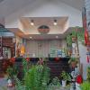 adrianas place