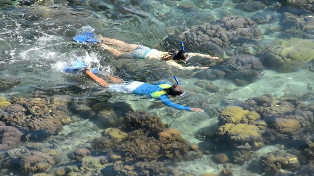 iris island eco resort