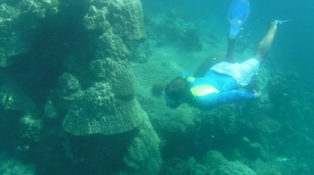 iris island eco resort