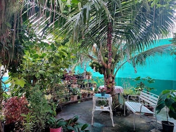 roxas city