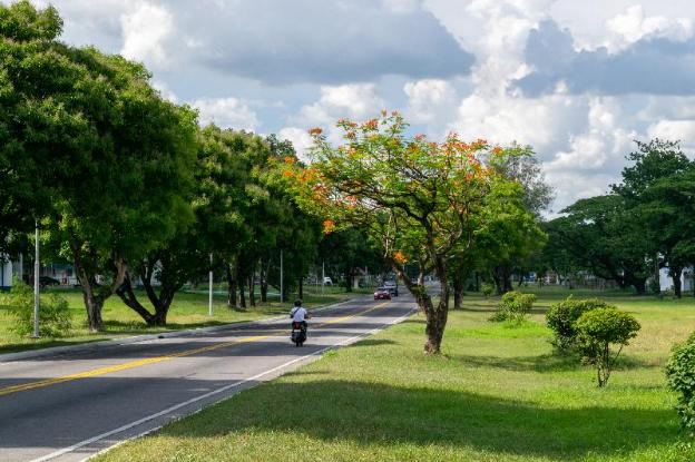 dianne gardens hotel