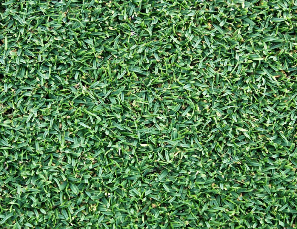 dianne gardens hotel