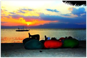 d gecko hotel