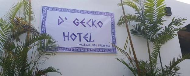 d gecko hotel