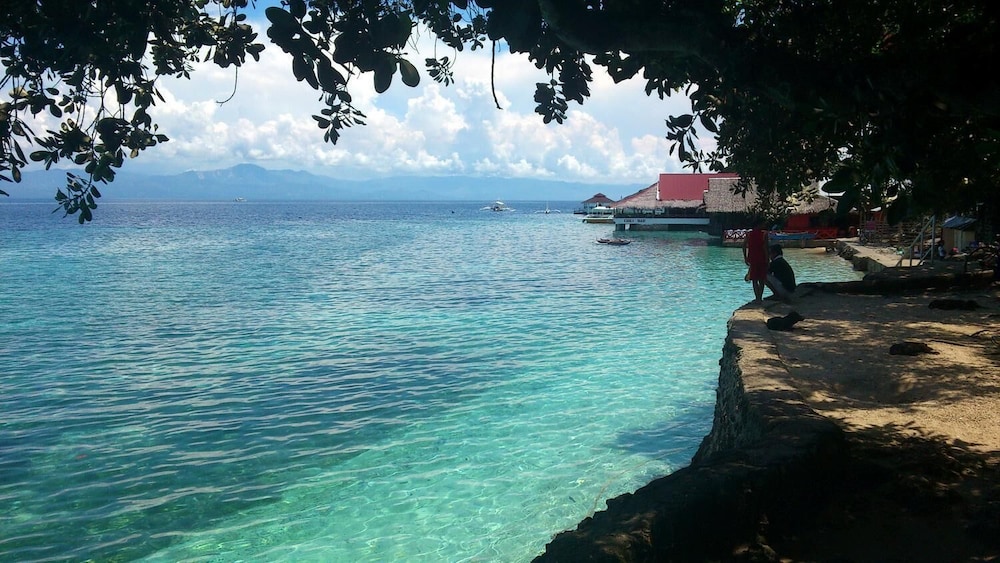 moalboal