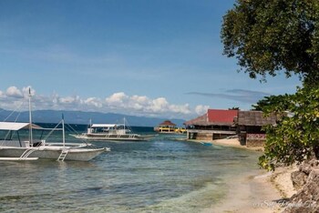 moalboal