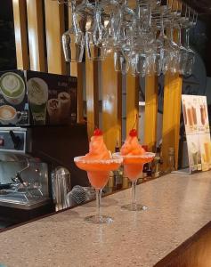 shore time dormitel hostel