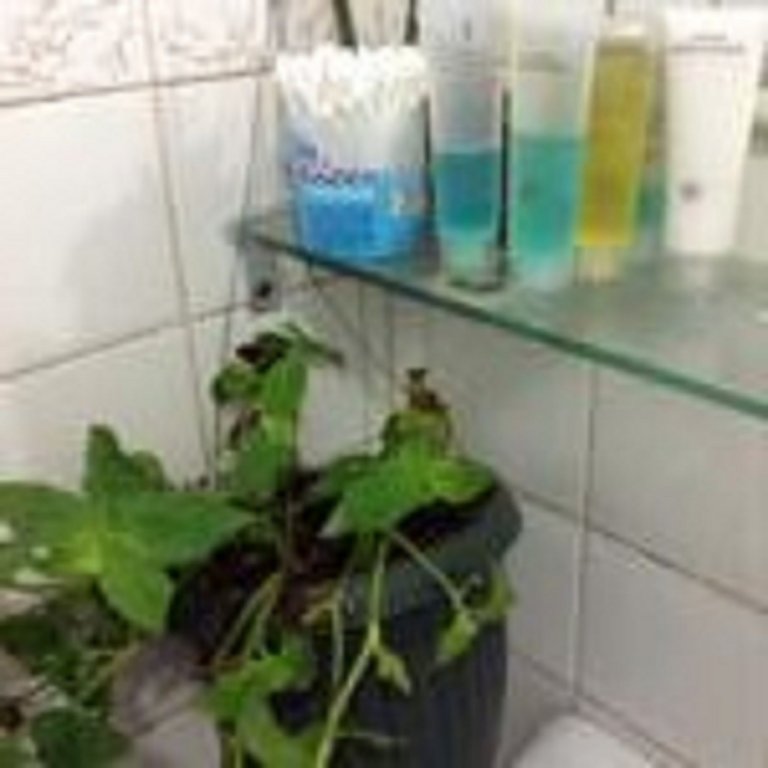 Cvnb Bed & Bath - Hostel,Cordillera Administrative Region>>Baguio,2 star