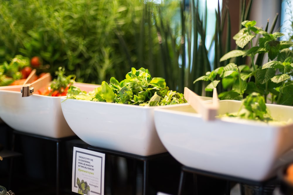 q hotel plus katowice