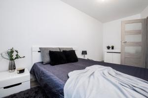 emihouse cityvibe apartments