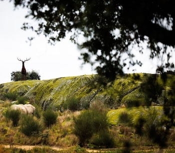 herdade da rocha boutique lodge