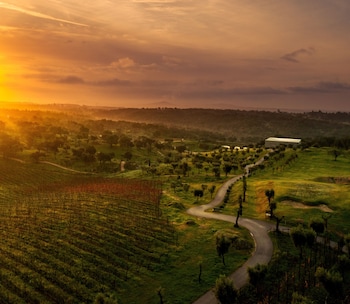 herdade da rocha boutique lodge