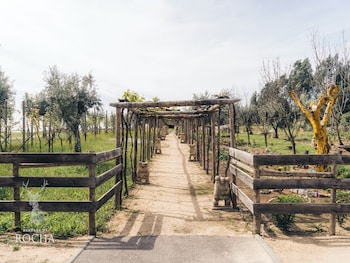 herdade da rocha boutique lodge