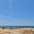 faro