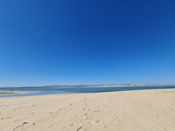 faro