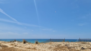faro