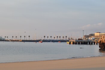 manelisa cascais