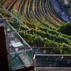 vila marim country house