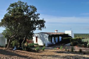 a serenada enoturismo