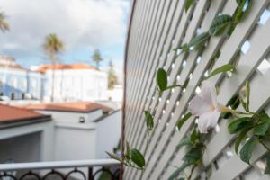 ponta delgada
