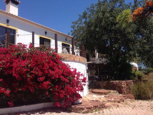 silves