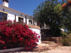 silves