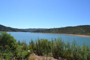 silves