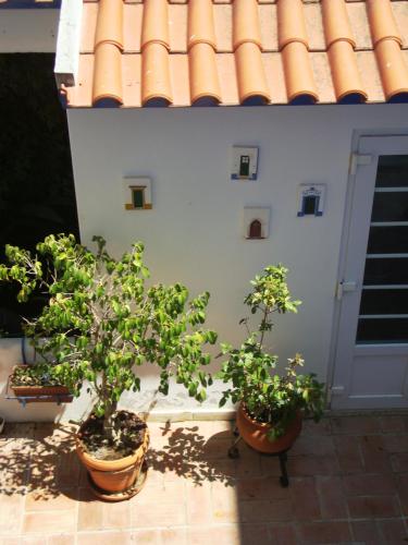 hotel mar e sol vnmf by umbral