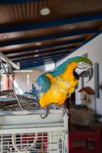 hotel mar e sol vnmf by umbral