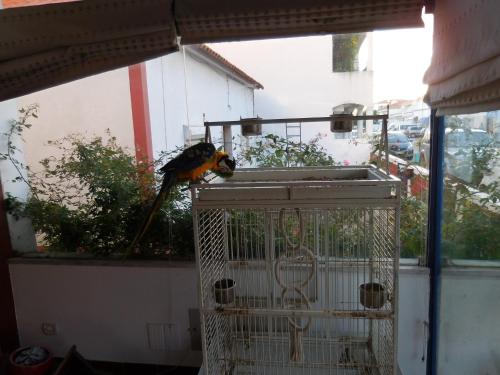 hotel mar e sol vnmf by umbral