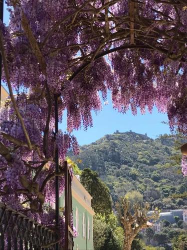 casa holstein quinta de sao sebastiao