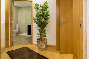 spot apartments trindade