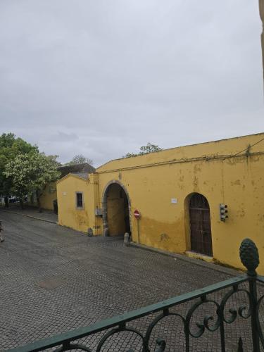 elvas