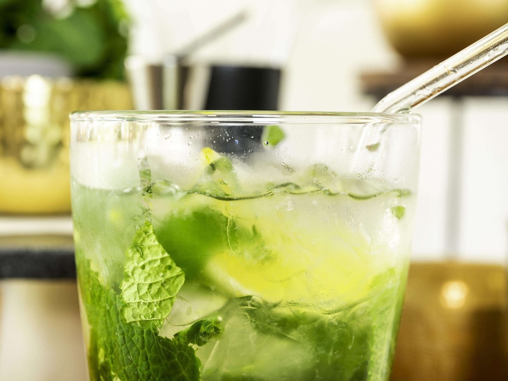 ibis styles bordeaux meriadeck