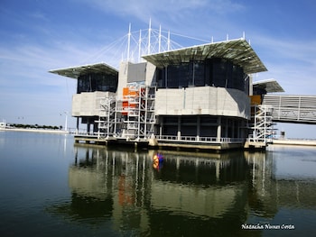 discovery apartment expo