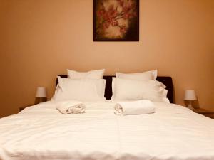 monte carlo palace rooms hostel