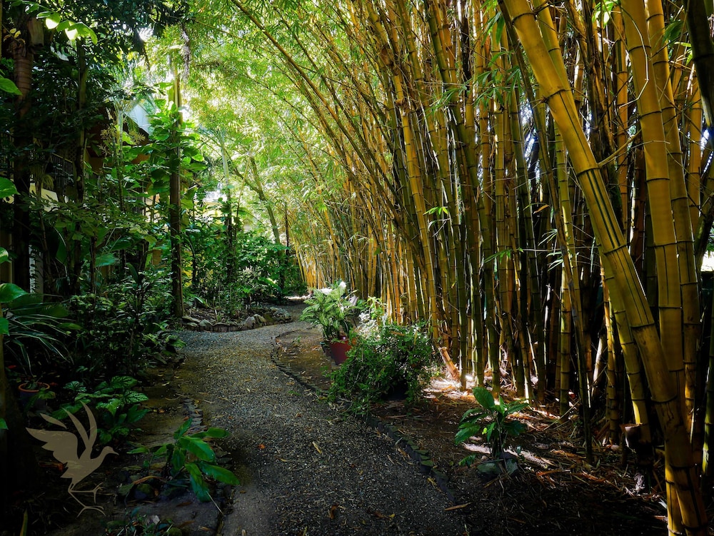 jacana amazon wellness resort