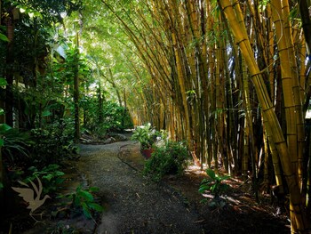 jacana amazon wellness resort