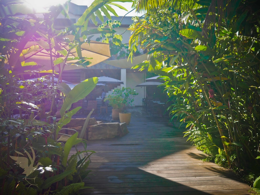 jacana amazon wellness resort